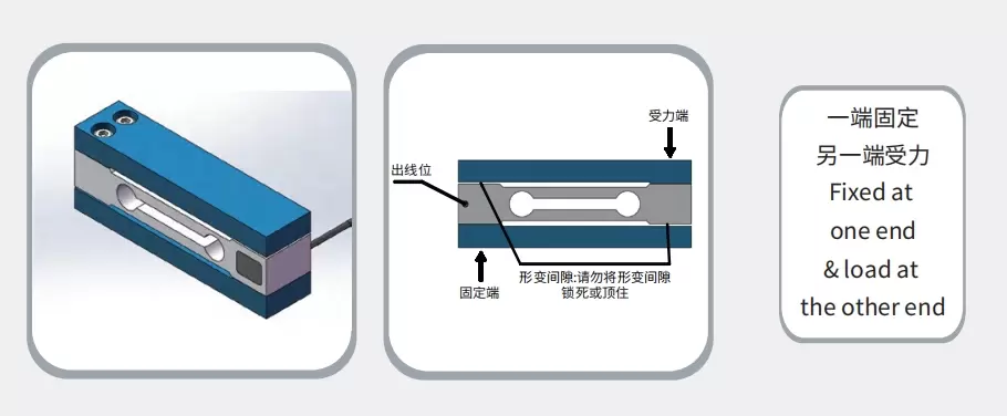 LFP-12 Product Dimension